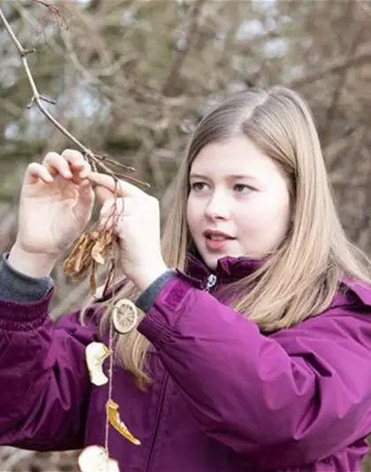 Trockenobstgirlande für kleine Piepmätze