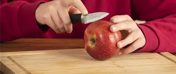 Trockenobstgirlande für kleine Piepmätze