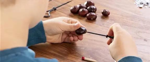 Tausendfüßler aus Kastanien