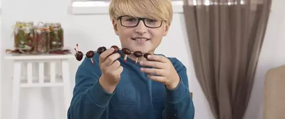 Tausendfüßler aus Kastanien