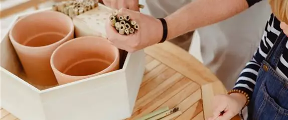 Das Insektenhotel: Urlaub für Insekten