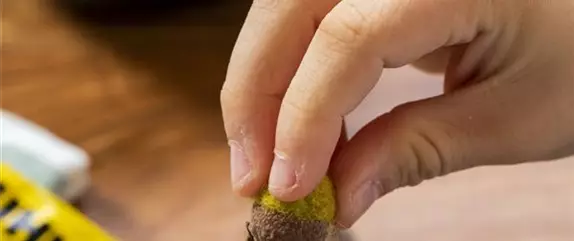 Filzeicheln in vielen Farben!