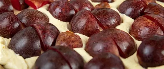 Leckerer Pflaumenkuchen