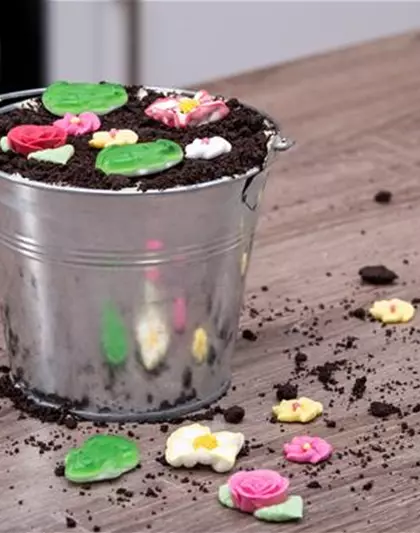Leckere Blumenerde mit Quark
