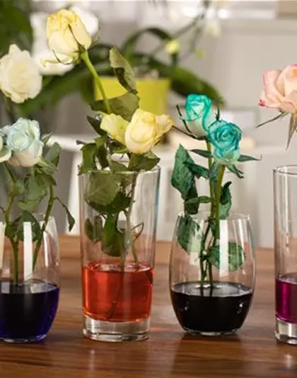 Weiße Blumen einfach einfärben
