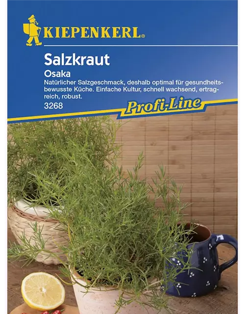 Salzkraut Osaka