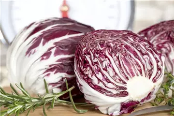 HERBSTSALATE HERBSTSALATE