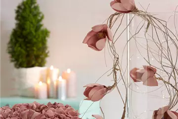 WIE GEHT... WINTERLICHER FEINSCHLIFF? WIE GEHT... WINTERLICHER FEINSCHLIFF?