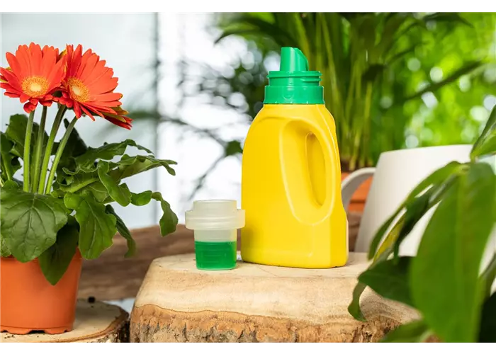 Blumendünger Blumendünger