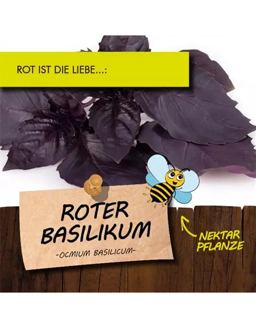 BIO Roter Basilikum