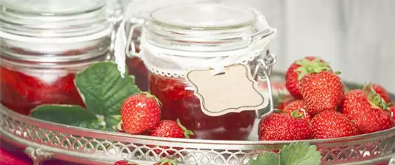 Beerenlust Beerenlust