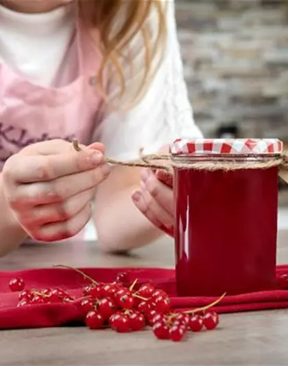 Johannisbeeren – von der Beere zum Gelee