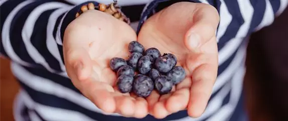 Beerensträucher – süße Leckereien Beerensträucher – süße Leckereien
