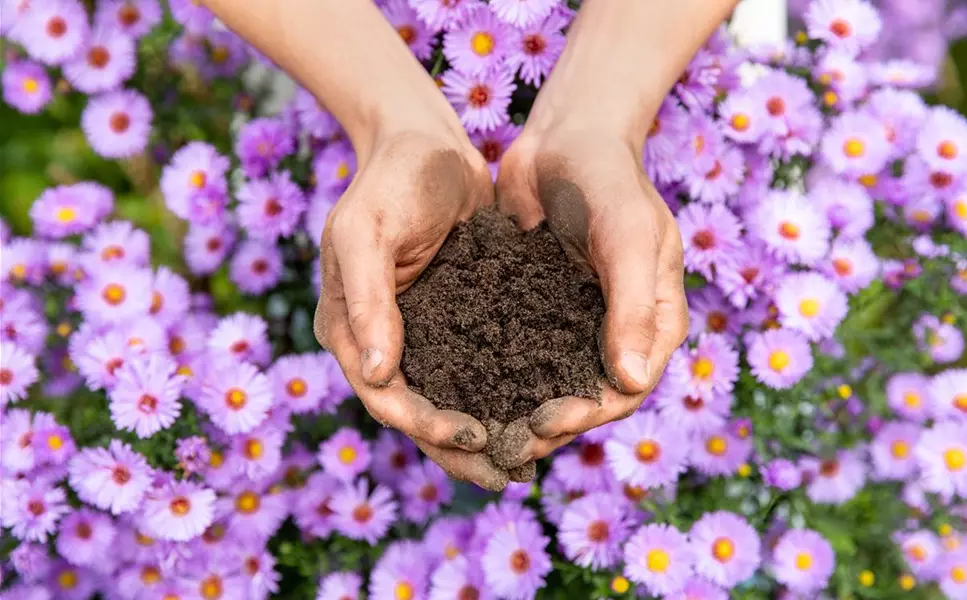 UMWELT SCHÜTZEN - Mit Torffreie Erden UMWELT SCHÜTZEN - Mit Torffreie Erden