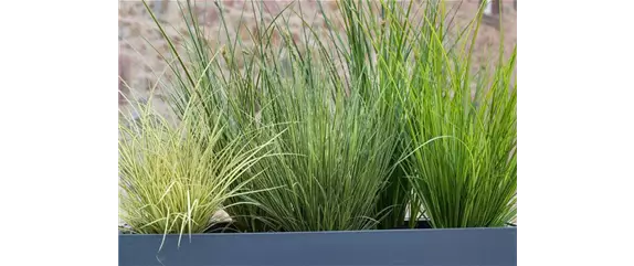 TERRASSENTRENDS IM HERBST