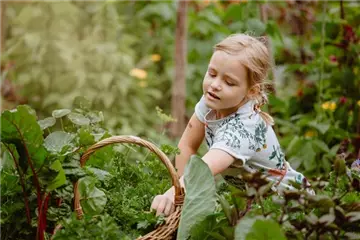 KINDER SPIELERISCH IN DIE ERNTE EINBEZIEHEN
