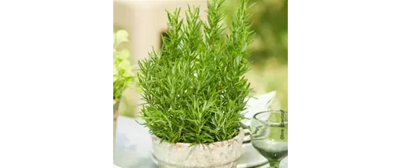 10 IDEEN ZUM VALENTINSTAG