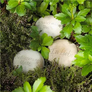 SCHöNER HERBSTLICHER GRABSCHMUCK! SCHöNER HERBSTLICHER GRABSCHMUCK!