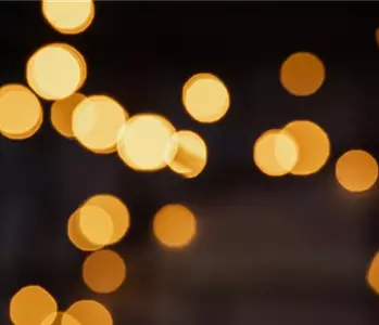 LICHTER ZU WEIHNACHTEN