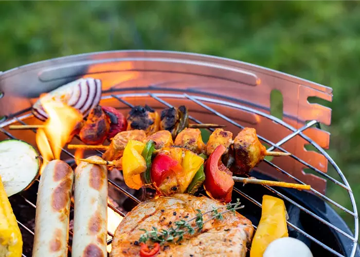 DIE GRILLSAISON IST ERöFFNET! DIE GRILLSAISON IST ERöFFNET!