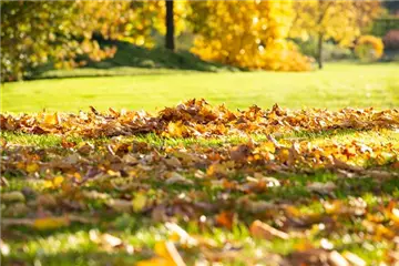 TO-DO'S IM OKTOBER TO-DO'S IM OKTOBER