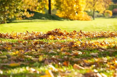 TO-DO'S IM OKTOBER TO-DO'S IM OKTOBER