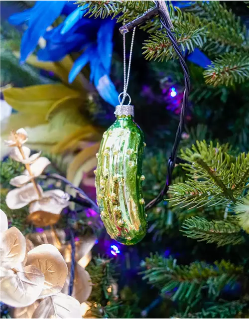 Weihnachtsgurke
