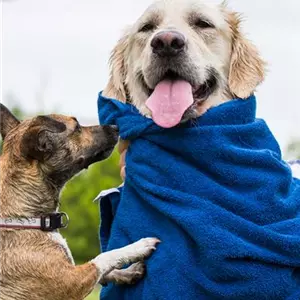 Valentinstag – Wie Tiere ihre Liebe zeigen Valentinstag – Wie Tiere ihre Liebe zeigen