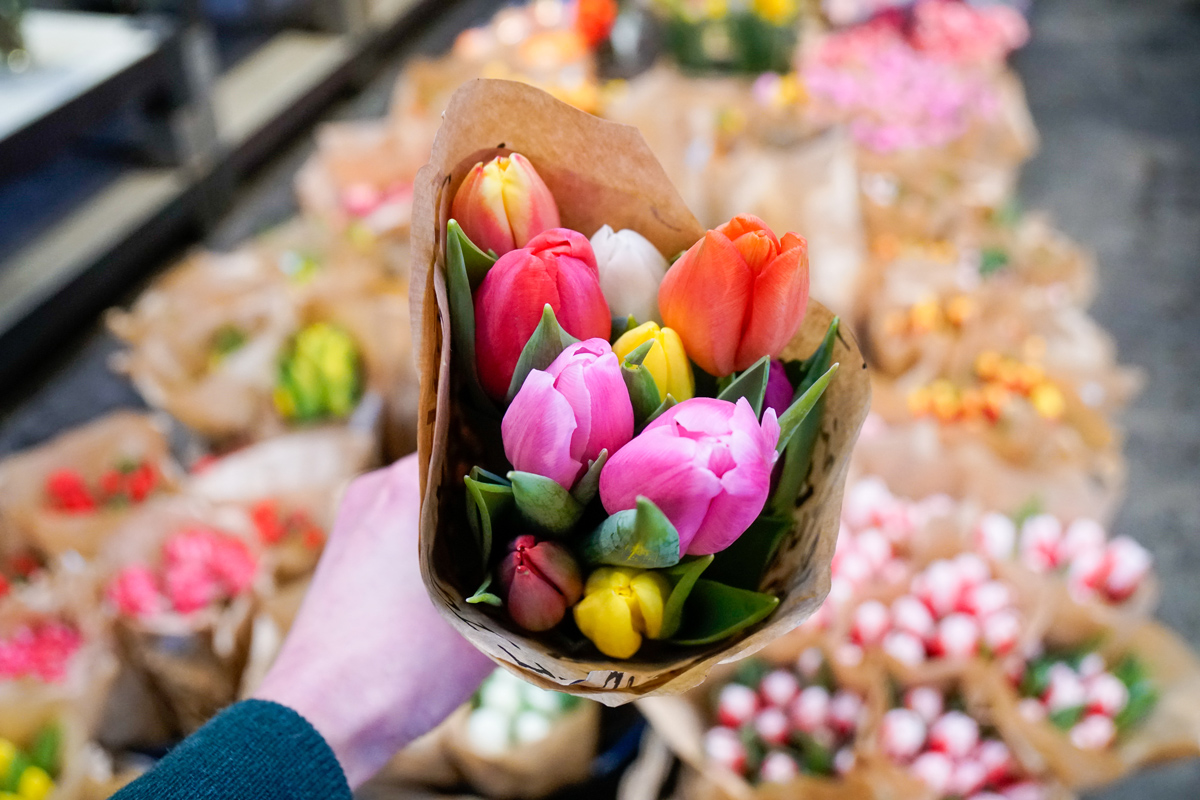 bunter-tulpenstrauss-im-kiefl-gartencenter-in-gauting-bei-muenchen.jpg