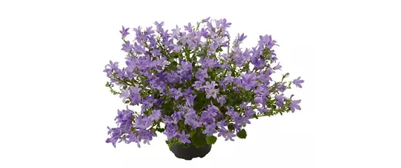 MIX DIR DEINEN FRÜHLING! MIX DIR DEINEN FRÜHLING!