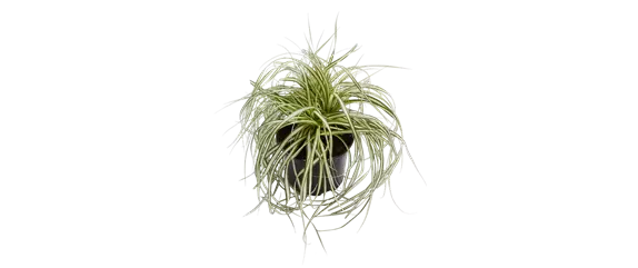 MIX DIR DEINEN FRÜHLING! MIX DIR DEINEN FRÜHLING!