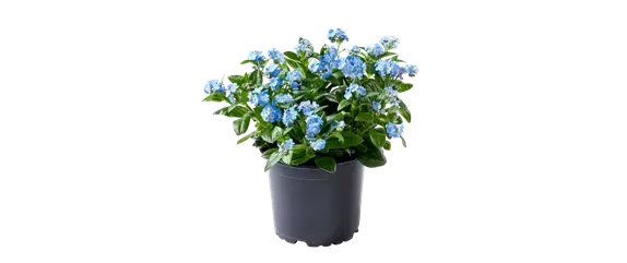 MIX DIR DEINEN FRÜHLING! MIX DIR DEINEN FRÜHLING!