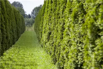 AUSGEHECKT! AUSGEHECKT!