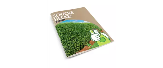 TOP 5 HECKENPFLANZEN im portrait TOP 5 HECKENPFLANZEN im portrait