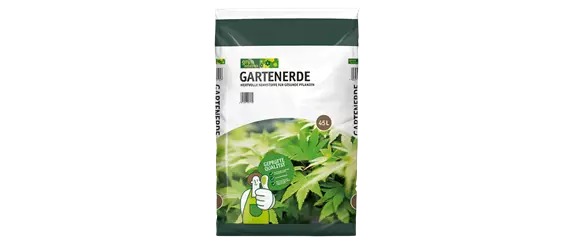 TOP 5 HECKENPFLANZEN im portrait TOP 5 HECKENPFLANZEN im portrait