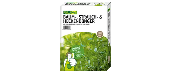 WäNDE FüR DAS GRüNE ZIMMER! WäNDE FüR DAS GRüNE ZIMMER!