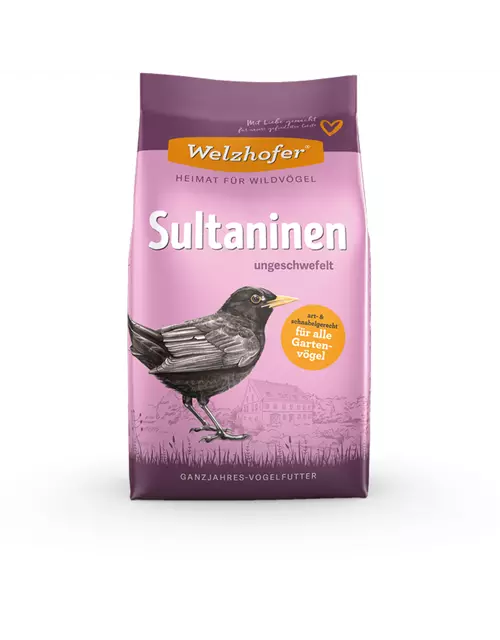 Sultaninen 1 kg
