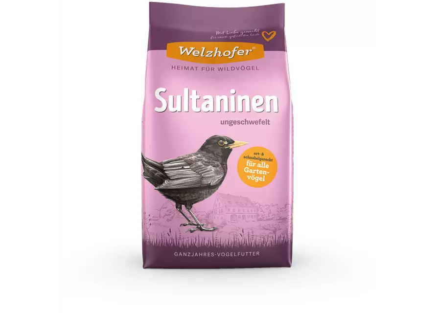 Sultaninen 1 kg