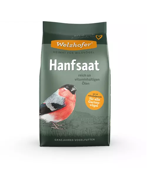 Hanfsaat