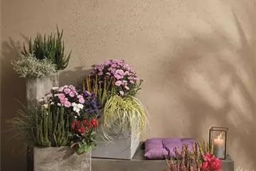 EIN KUNTERBUNTER HERBST! EIN KUNTERBUNTER HERBST!