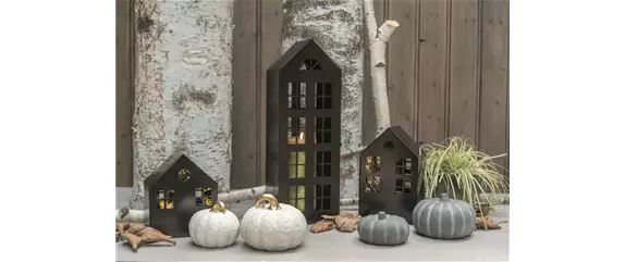 EIN KUNTERBUNTER HERBST! EIN KUNTERBUNTER HERBST!