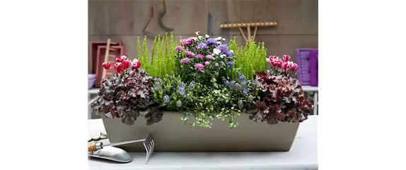 HERBSTLICHE PFLANZIDEEN HERBSTLICHE PFLANZIDEEN