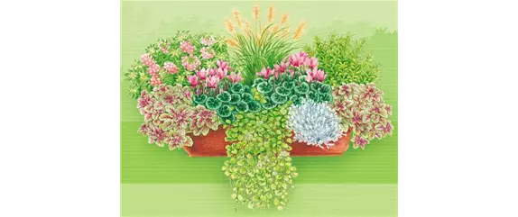 HERBSTLICHE PFLANZIDEEN HERBSTLICHE PFLANZIDEEN