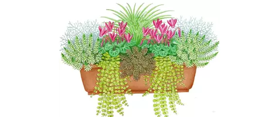 HERBSTLICHE PFLANZIDEEN HERBSTLICHE PFLANZIDEEN