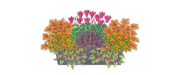 HERBSTLICHE PFLANZIDEEN HERBSTLICHE PFLANZIDEEN