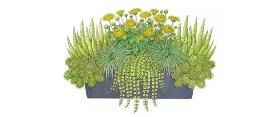 HERBSTLICHE PFLANZIDEEN HERBSTLICHE PFLANZIDEEN