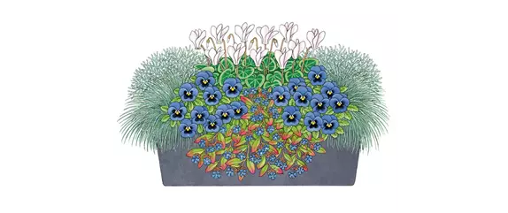 HERBSTLICHE PFLANZIDEEN HERBSTLICHE PFLANZIDEEN