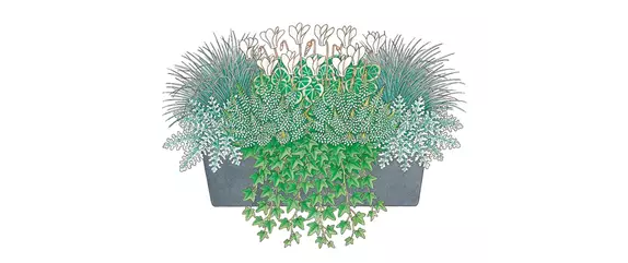 HERBSTLICHE PFLANZIDEEN HERBSTLICHE PFLANZIDEEN