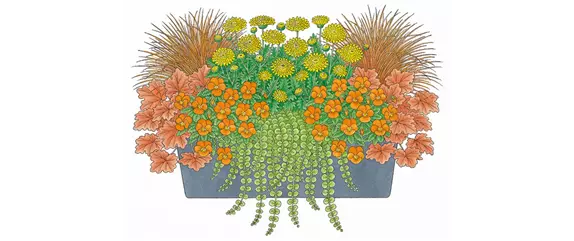 HERBSTLICHE PFLANZIDEEN HERBSTLICHE PFLANZIDEEN