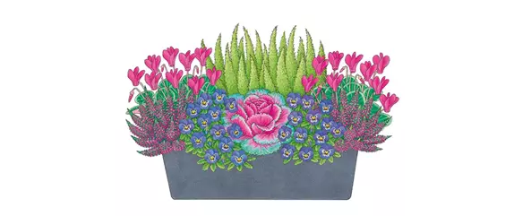 HERBSTLICHE PFLANZIDEEN HERBSTLICHE PFLANZIDEEN